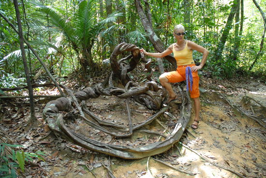 Was da nicht alles so waechst