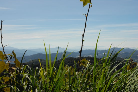 Blick ueber die Cameron Highlands vom Gunung Brinchang