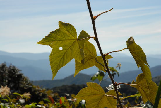Landschaftsimpressionen