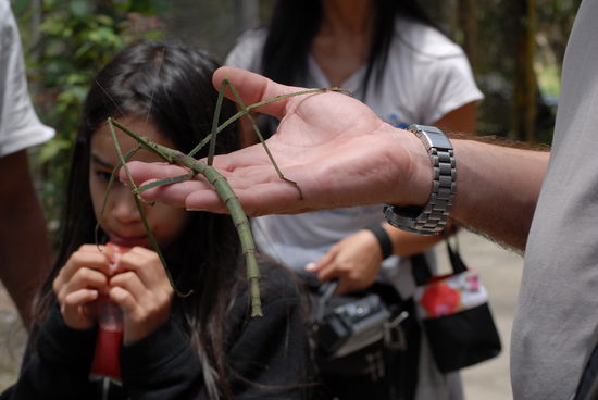 und nochmals so ein komisches Viechzeug