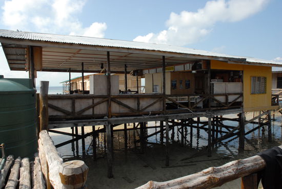 Der Open-Air-Fruehstuecks-und-Speise-und-Abhaeng-und-Bibliotheks-und-Partysaal