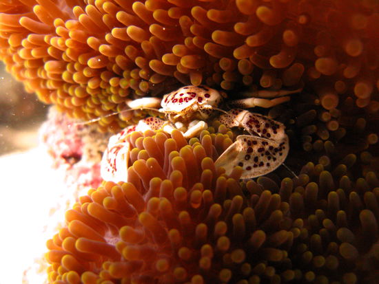 Hier liegt es sich gut