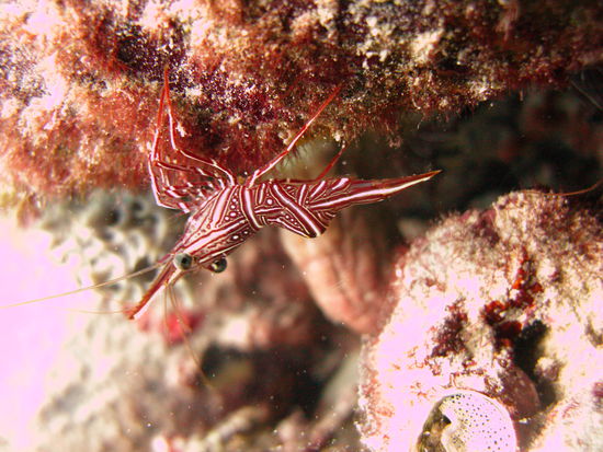 Ein wenig abhaengen hier...