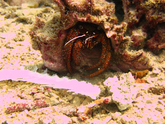 Du kommst hier ned rein ... und ich auch ned raus ... Aetsch !!