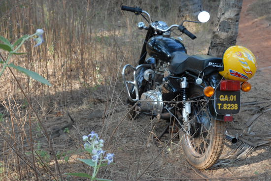 Unser "Paris-Dakar-Modell" Enfield
