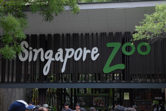 Der Eingang des Zoos