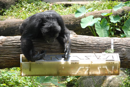 Putt, putt, putt ... komm schoen rueber, dann fress ich dich auch.