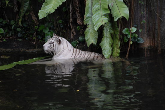 ein kleines Bad schadet auch nicht (dann geht das viele Blut wieder weg ....)