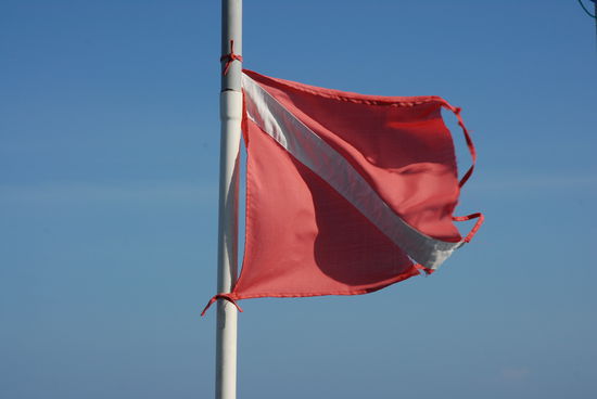 Die Taucher sind unterwegs