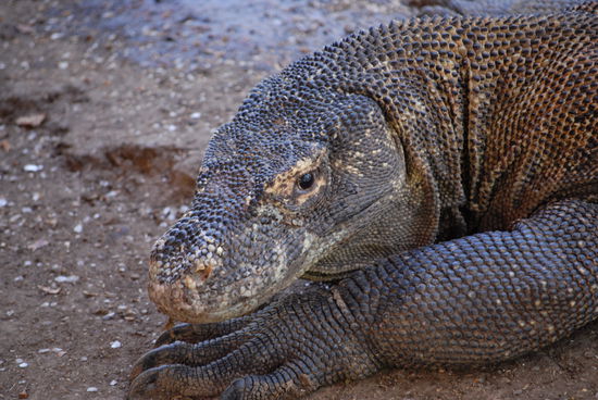 Da haben wir doch schon so einen netten Burschen