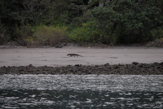 Auf der Suche nach einem Fruehstueck