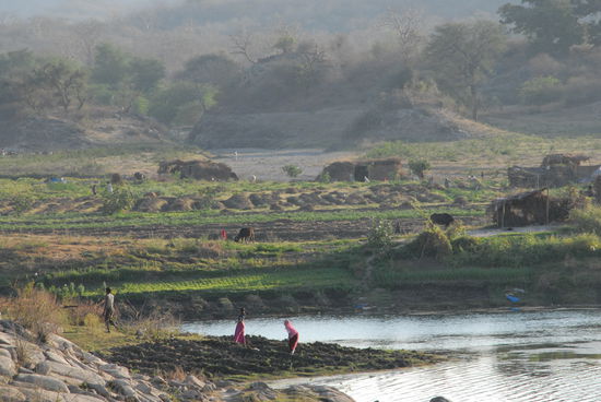 Hier wohnende Inder bauen ihr Essen direkt am See an