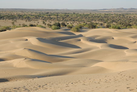 Desert-Impressions