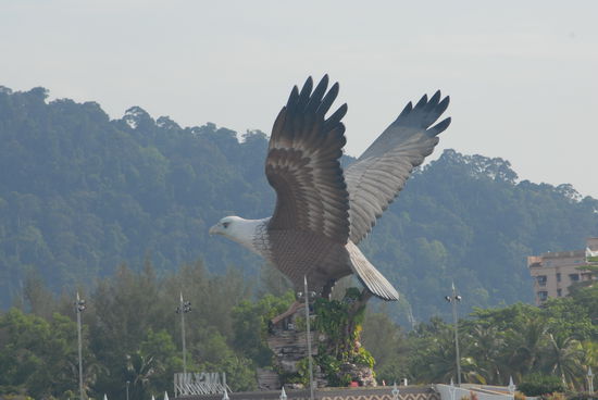 Ciao Langkawi  ---> der Seeadler ist das Wappentier Langkawis und bedeutet wörtlich übersetzt "brauner Adler" (Lang=braun und Kawi =Adler)