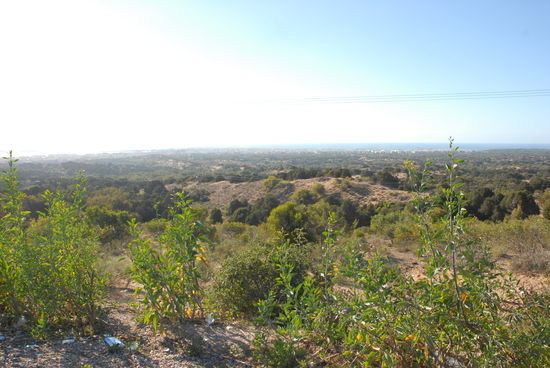 Essaouira vom Aussichtspunkt aus gesehen