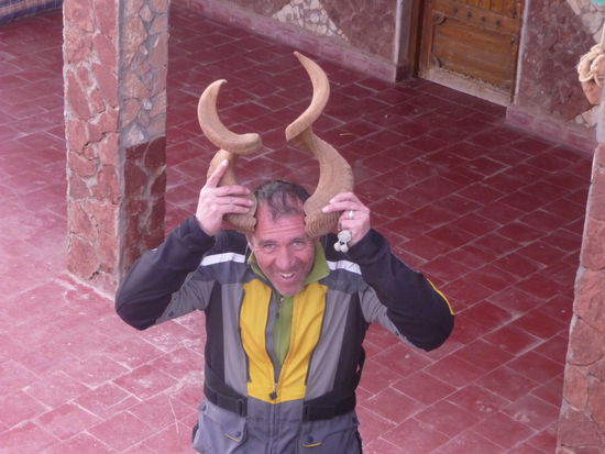 Mufflonschaf oder hat da jemand Hörner aufgesetzt