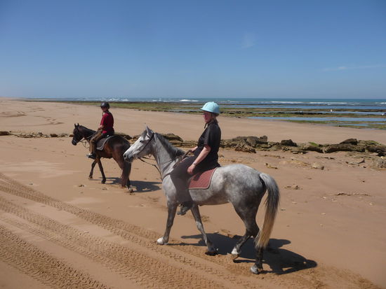 Margit bei der Lieblingsbeschäftigung