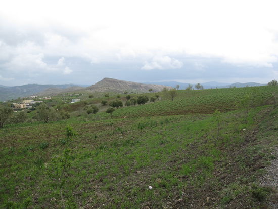 Eine grüne und sagenhafte ...