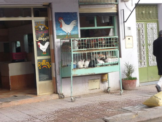 Du wolle Hase zu Mittagesse kaufe ...