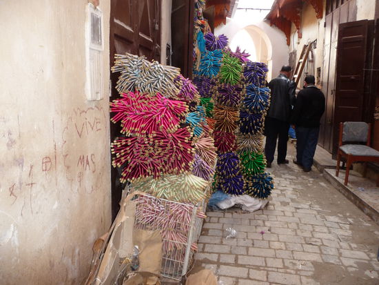 Eine unglaubliche Farbenvielfalt