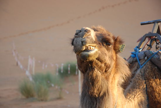 Irgendwie hängt mir da was am Zahn