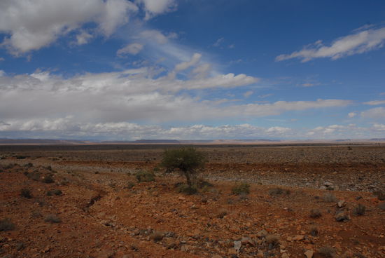 Landschaft in der Nähe...