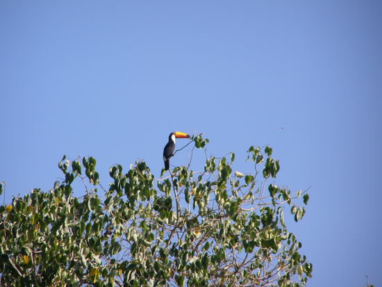 Den gibt es so wirklich, obwohl er  aussieht wie gemalt.