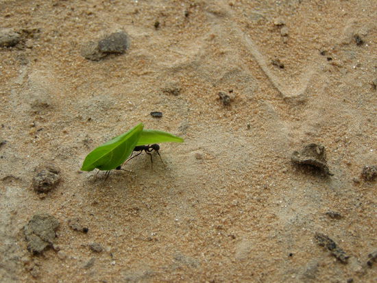Auch kleine Tiere können interessant sein.