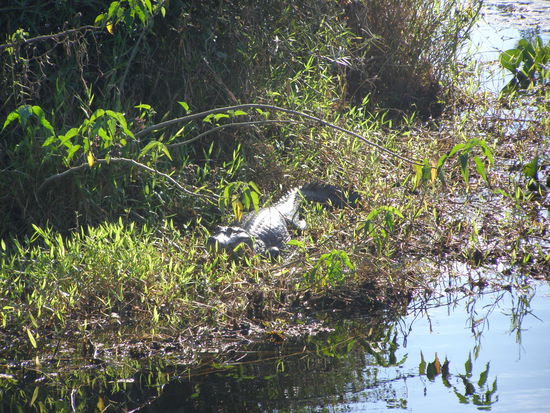 Ganz nah am Weg oder sogar auf der Pist zum Sonnen, Füße abkühlen will gut überlegt sein.