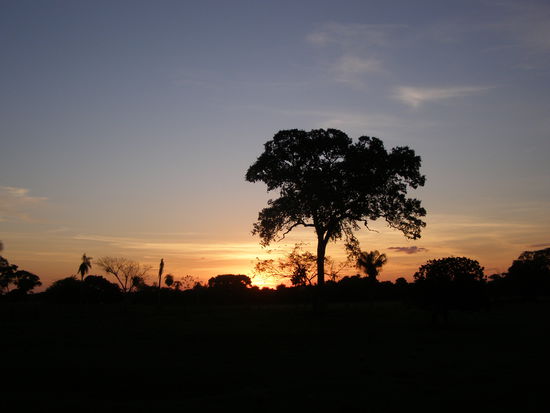 Einfach nur schön !