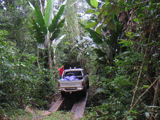 So und so ähnlich sah der Weg durch den Park aus. Echter Dschungel!
