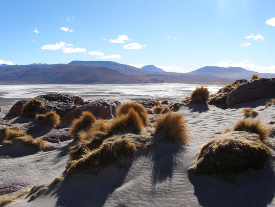 Von Steinwüsten bis zu Sand- und Salzwüsten.