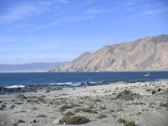 Das erstemal für uns, das wir am Pazifik sind, und es ist kalt.