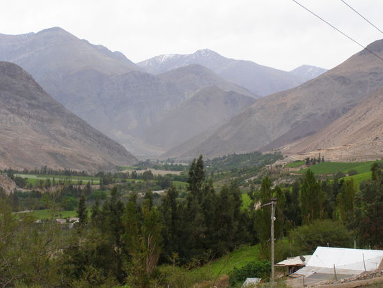 Dort wo es Wasser gibt, wächst alles, von Wein über Oliven, Früchte bis zu Gemüse.