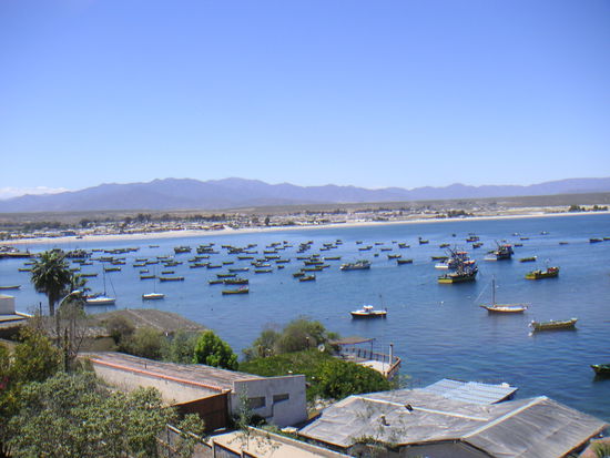 Kleiner Fischerhafen, frischer Fisch garantiert, bei belieben auch frische Austern, die werden hier gezüchtet.