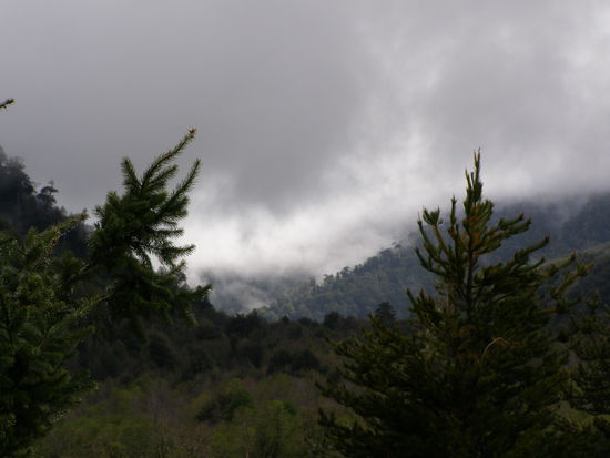 ......das Wetter errinnert schon mal an zu Hause.......