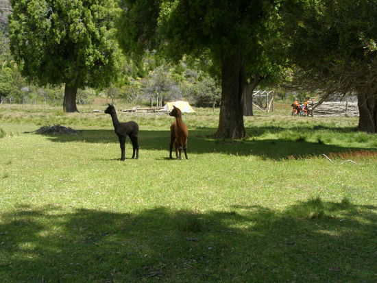 Süß, erst ein paar Tage alt.