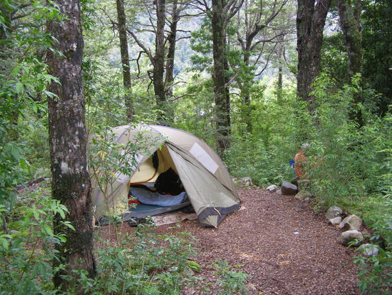 Unserer Zeltplatz über Silverster, fast schon versteckt im Regenwald.