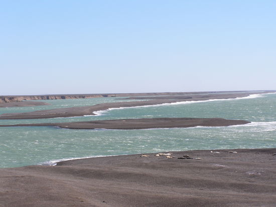 Die halten sichern Abstand, sicher für sie und auch sicher für die Besucher, denn mit ihren 2,5 t ist nicht zu spaßen.