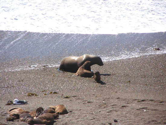 Gibts was zu Fressen ?