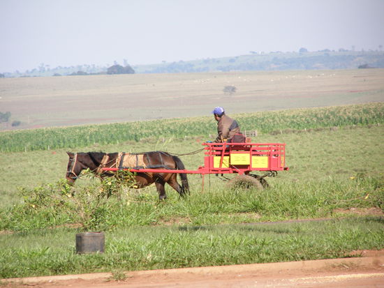 Ein PS reicht auch, zumindest vielen und auch nicht immer.