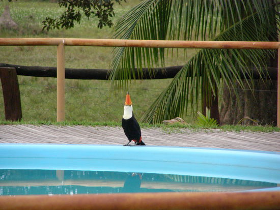 Durst ?? Wasser !! Mmhh, egal woher, irgndwas findet sich immer.