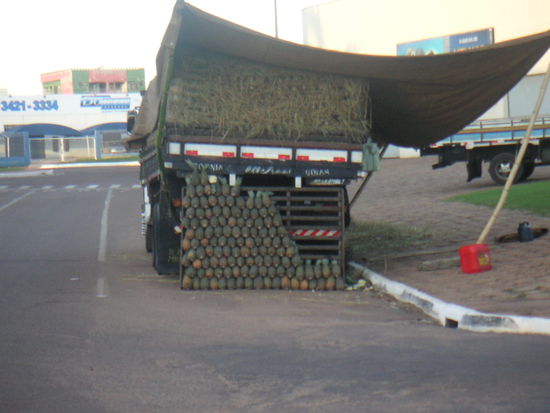 Aaaaah, so ungefähr komentierten wir den Duft des Ananans LKW´s.