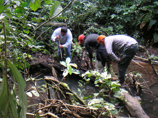 Männer auf der Jagd, oder zumindest auf der Suche nach dem Fisch im Fluß, aber der war schneller.