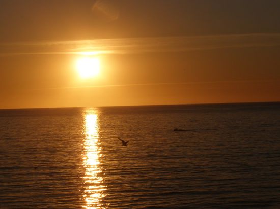 So kann Reisen auch sein.