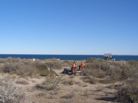 Versteckt am Strand, aber den Walen ganz nah.....