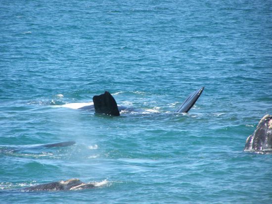 ..... auf dem Ruecken.......