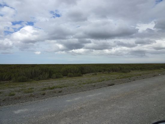 Pampa, unendliche Weite.