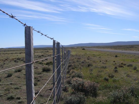 In ganz Argentinien und Chile sind die Straßen von Zäunen gesäumt.