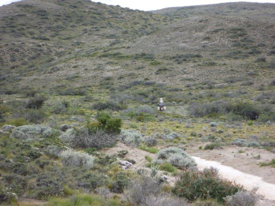 Ja wo will er denn hin ?